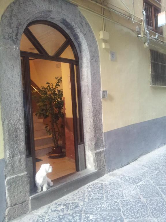 Dei Gerolomini Hotel Napoli Eksteriør billede